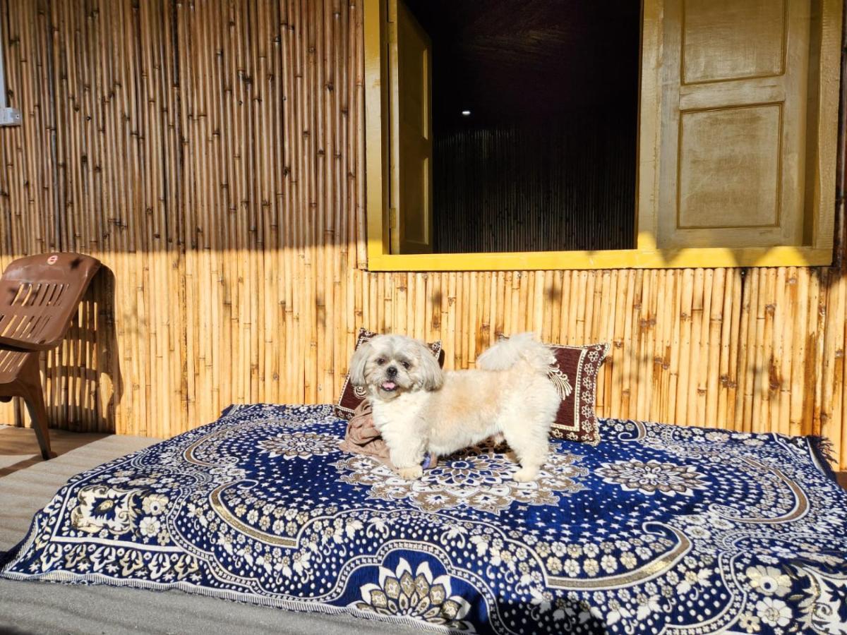 Pahaadi Dhun Homestay Chamba  エクステリア 写真