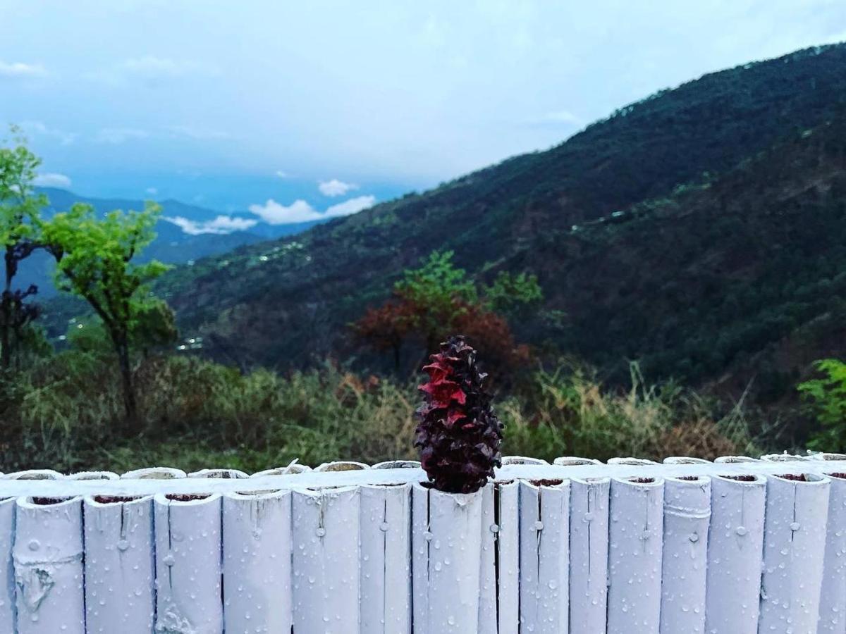 Pahaadi Dhun Homestay Chamba  エクステリア 写真